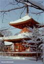 Kitain 01